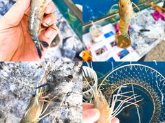 -SHRIMP CLUB万东餐饮钓虾·清吧