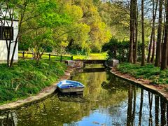 -上海共青森林公园