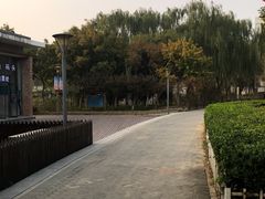 -大兴滨河森林公园