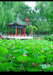-宝馨月月子中心(友谊医院店)