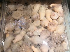 -国惠大酒楼(爱琴海购物公园店)