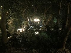 -湖泉半山温泉