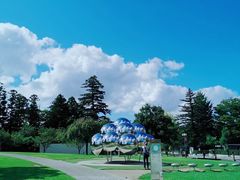 -金泽21世纪美术馆