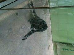 android_upload_pic-石家庄市动物园