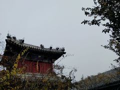 -潭柘寺景区