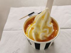 -JW德国冻酸奶Frozen Yogurt(龙湖成都滨江天街店)