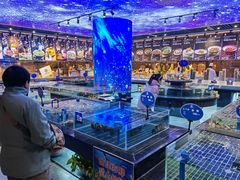 -华膳楼·安徽地标美食·中华餐饮名店(文化公园店)
