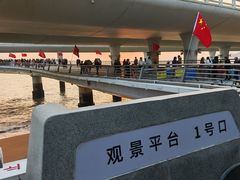 -演武大桥观景平台