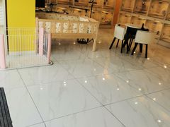 -宠爱多约克夏马尔济斯泰迪小型犬专卖