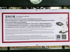 -临高角