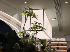 -芸山季·云南山珍菌火锅(南翔印象城MEGA店)