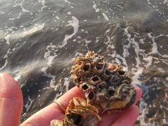 -浪琴湾度假村