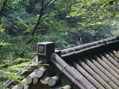 -藏龙百瀑风景区