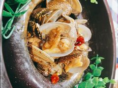 -雪熊哈尔滨烧烤·精酿啤酒·砂锅(中央胜境店)