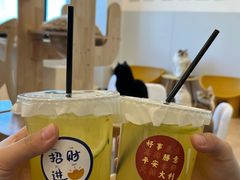 -有喵·猫咖·狗咖·30几只猫10只小狗(岗厦店)