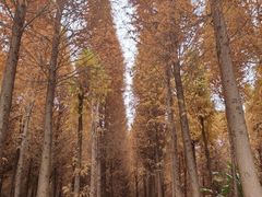 -捞渔河湿地公园