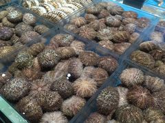 -徐记海鲜(大明宫|北二环店)