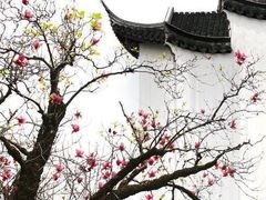 -HOHO餐厅(古子城店)