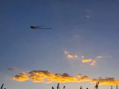 -呈贡滇池生态湿地公园