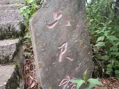 -牛背梁国家森林公园