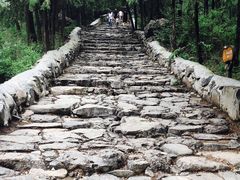 -阳台山自然风景区