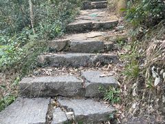 -青龙山国家森林公园