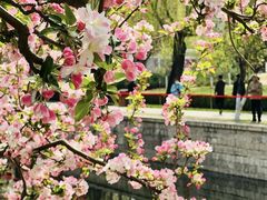 -元大都城垣遗址公园