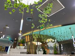 -青花椒花椒鱼(合生汇店)