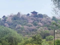-绍兴镜湖国家城市湿地公园