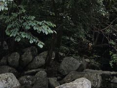 -青峰峡国家森林公园