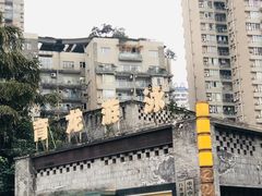 -朱毅育龙游泳俱乐部