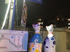 -猫咪博物馆(顶澳仔猫街店)