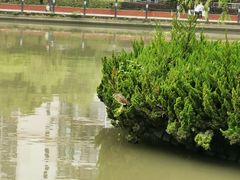 -苏州河梦清园环保主题公园