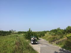 -东庄海岸高尔夫俱乐部