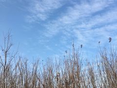 -广富林郊野公园