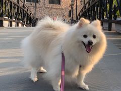 -J Create城市露营咖啡·简餐·宠物(上海动物园店)