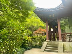 -十八棵（老龙井）御茶园(老龙井店)