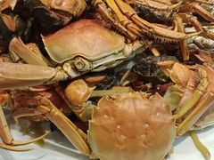 -北戴河转鱼·炒螃蟹酱餐厅