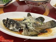 -君海悦酒楼