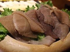 -呷哺呷哺 黄金牧场 (欢乐谷店)