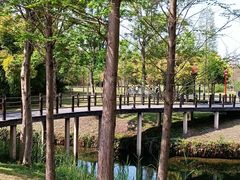 -眉山湿地公园(东坡区)