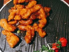 -前海沿·青岛菜(大拇指广场石老人店)