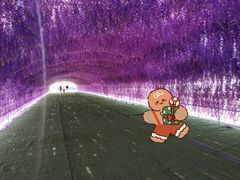 -绿野森林乐园冰雪季