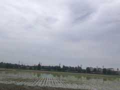 -中国天府农业博览园