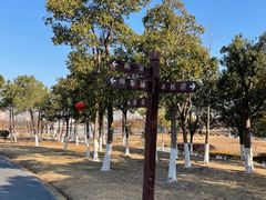 -春花秋色城市公园