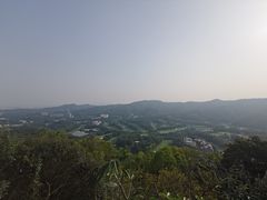 -大屏嶂森林公园