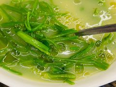 -马帮菜馆·美味野生菌