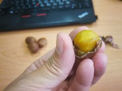 -阿男野栗王(金门路店)