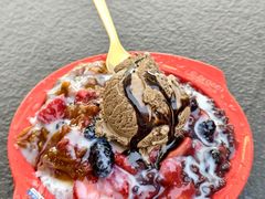 -铁真·刨冰红焖羊肉·正宗老字号