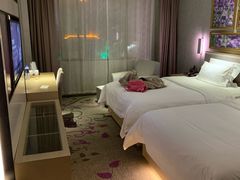 -麗枫酒店(长沙步行街南门口地铁站店)